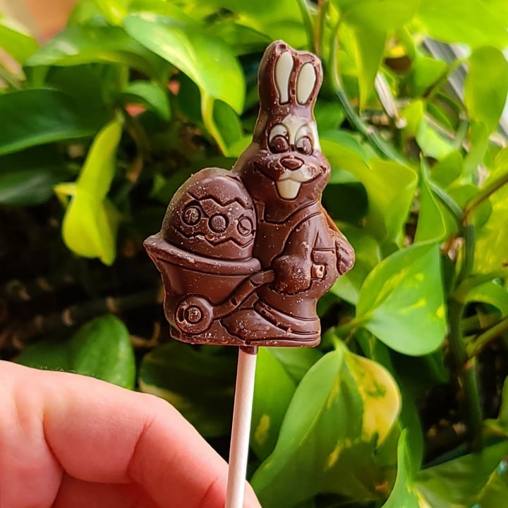 photo of No Whey! Foods Chocolate Easter Bunny Wheelbarrow Lollipop shared by @agreene428 on  07 May 2024 - review