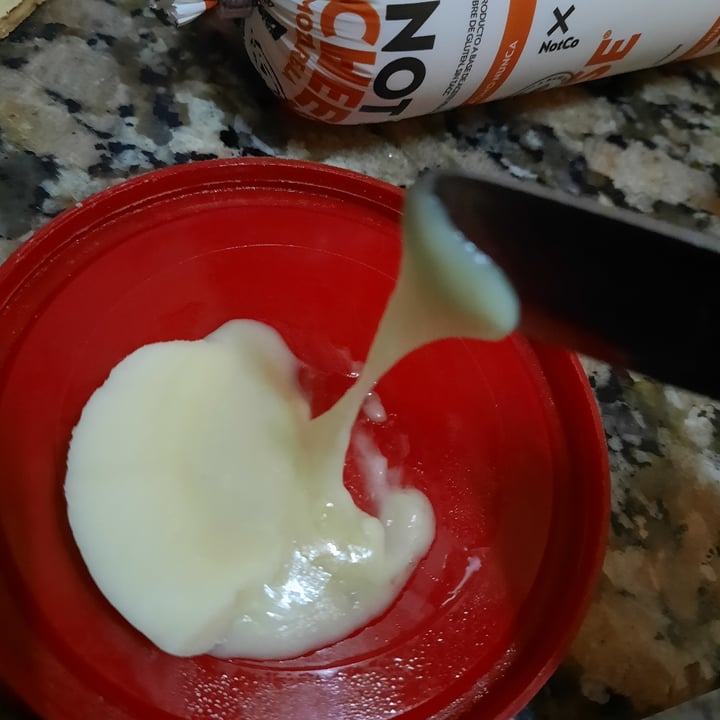 photo of Not Not cheese Mozzarella shared by @lurethemwithfood on  08 Sep 2023 - review