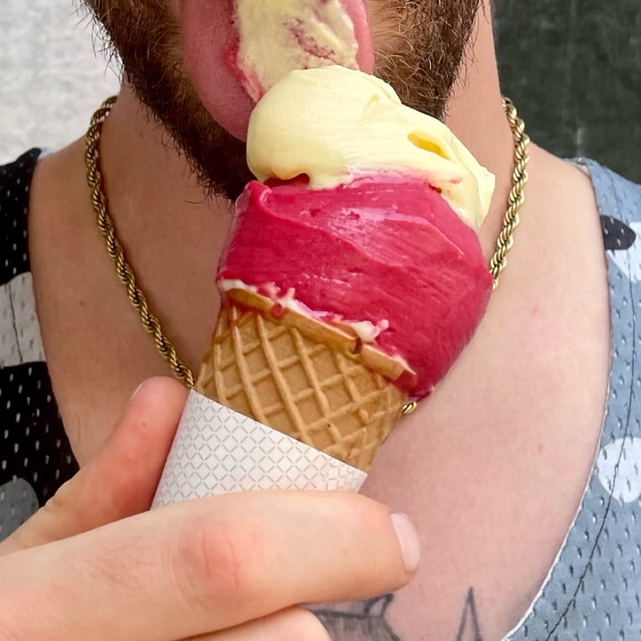 photo of Toldo Gelateria Gelato lampone shared by @chiarabrambs on  11 Aug 2024 - review
