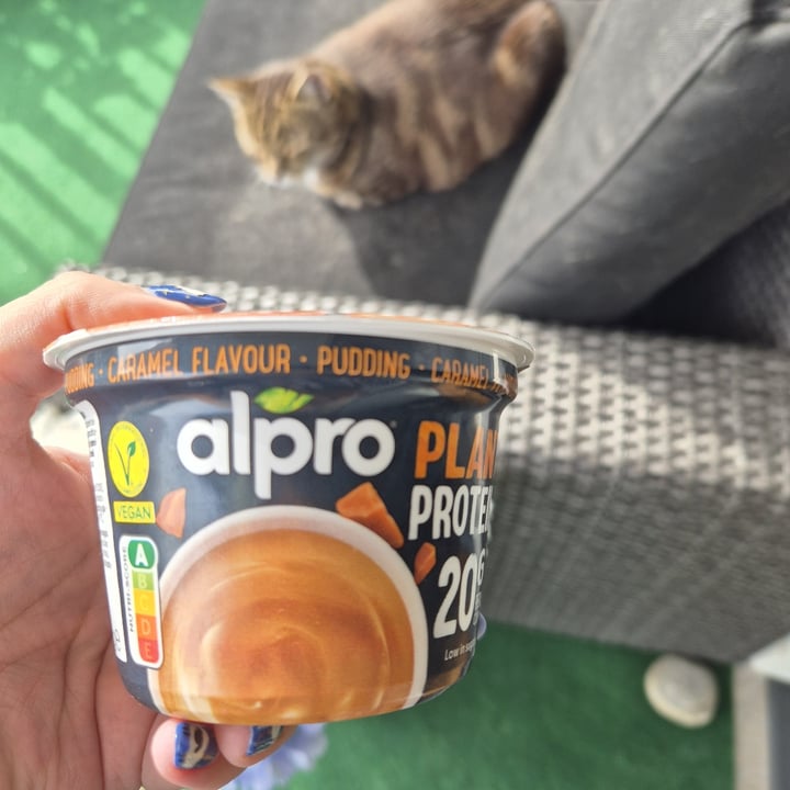 photo of Alpro plant protein caramel flavour pudding shared by @enkelvegan on  07 Oct 2025 - review