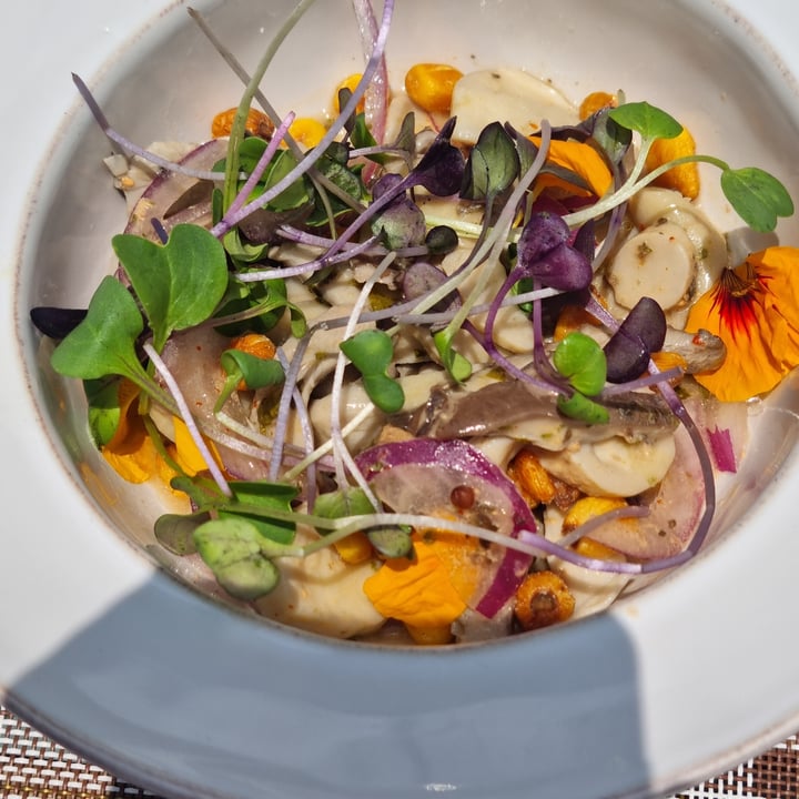 photo of BuenaVida 100% Vegan ceviche shared by @safariveg on  21 May 2025 - review