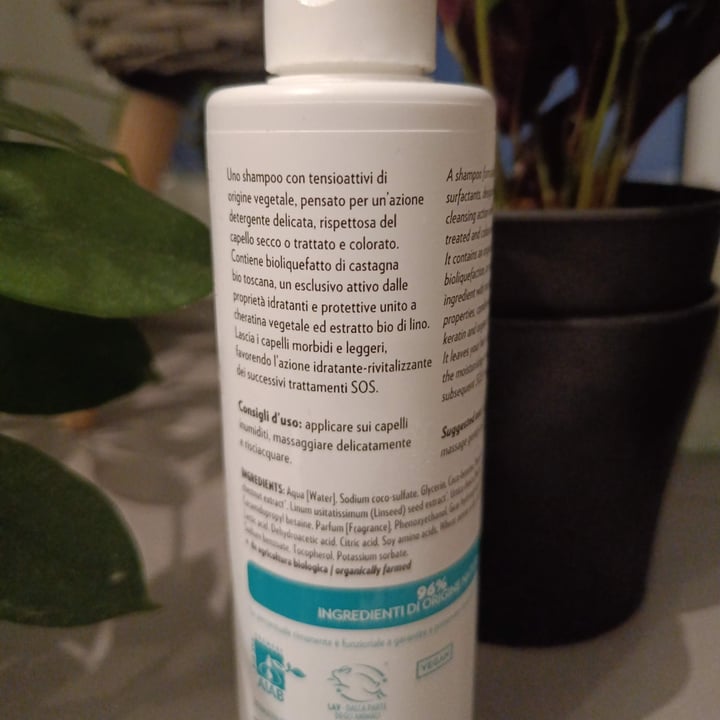 photo of Biofficina Toscana Shampoo dolce SOS castagna shared by @selbsthenker on  11 Oct 2023 - review