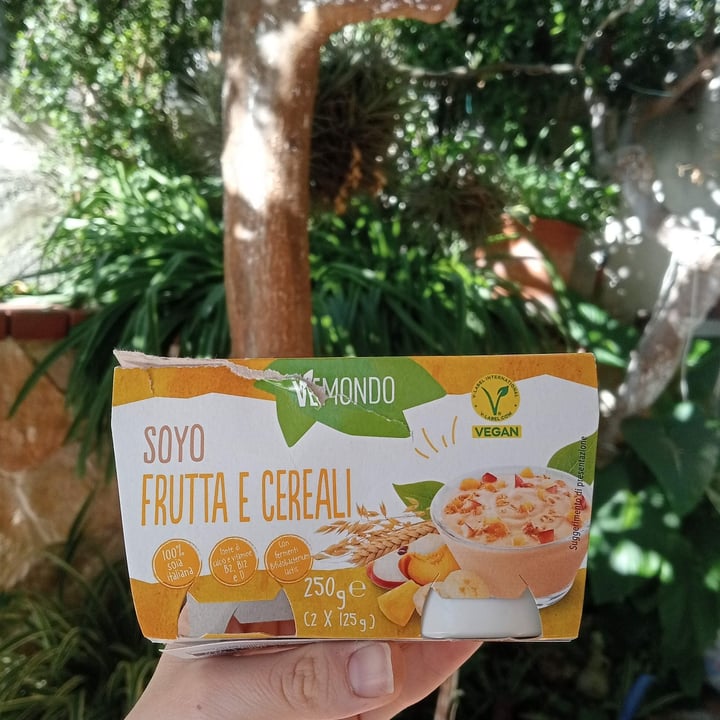 photo of Vemondo Soyo frutta e cereali shared by @silviaa on  07 Apr 2024 - review
