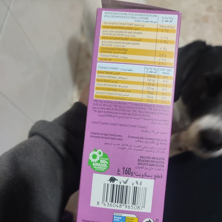 photo of Artiach Galletas Mini Dinosaurus Sin Gluten shared by @theandalusianqueer on  29 Oct 2024 - review