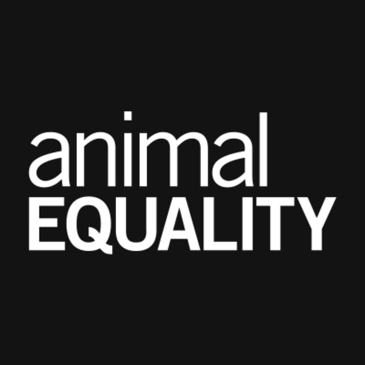 photo of undefined undefined shared by @animalequality on  29 Aug 2025 - review