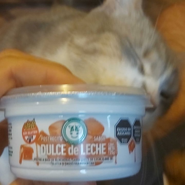 photo of Felices Las Vacas Postrecito De Dulce De Leche shared by @pucky on  05 Oct 2025 - review