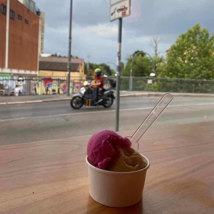photo of Gelabottega Milano Gelato al pistacchio salato e red shiso shared by @gretademarchi on  06 Jul 2025 - review