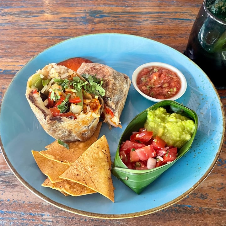 photo of Clear Cafe Veggie burrito shared by @tenny88 on  11 Nov 2023 - review