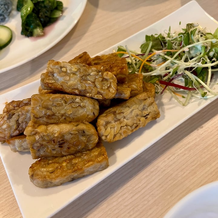photo of Eco-Harmony Cafe 轻安地球村 Tempeh shared by @ziggyradiobear on  13 Jul 2025 - review