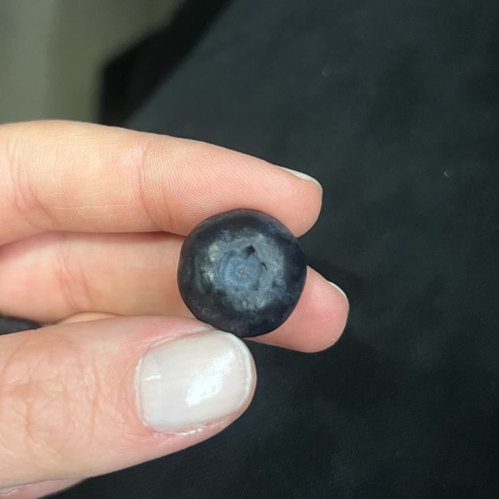 photo of southern sun Bluberries shared by @lauradeluca on  17 Dec 2024 - review