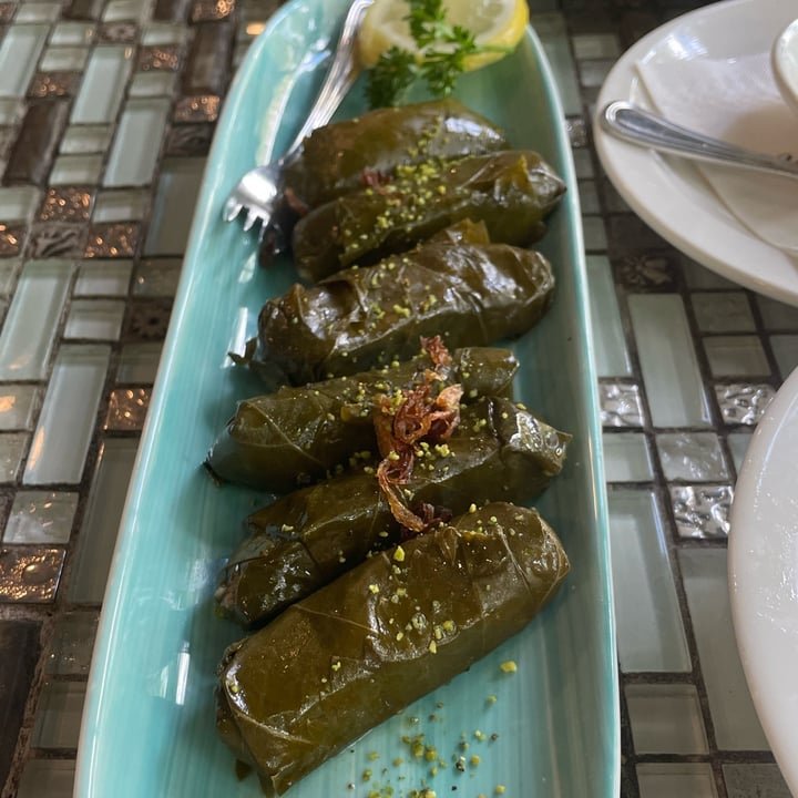 photo of Shabestan Dolma shared by @paloma on  17 Jan 2024 - review