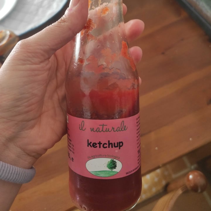 photo of Il naturale Ketchup shared by @krishavoc on  16 May 2024 - review