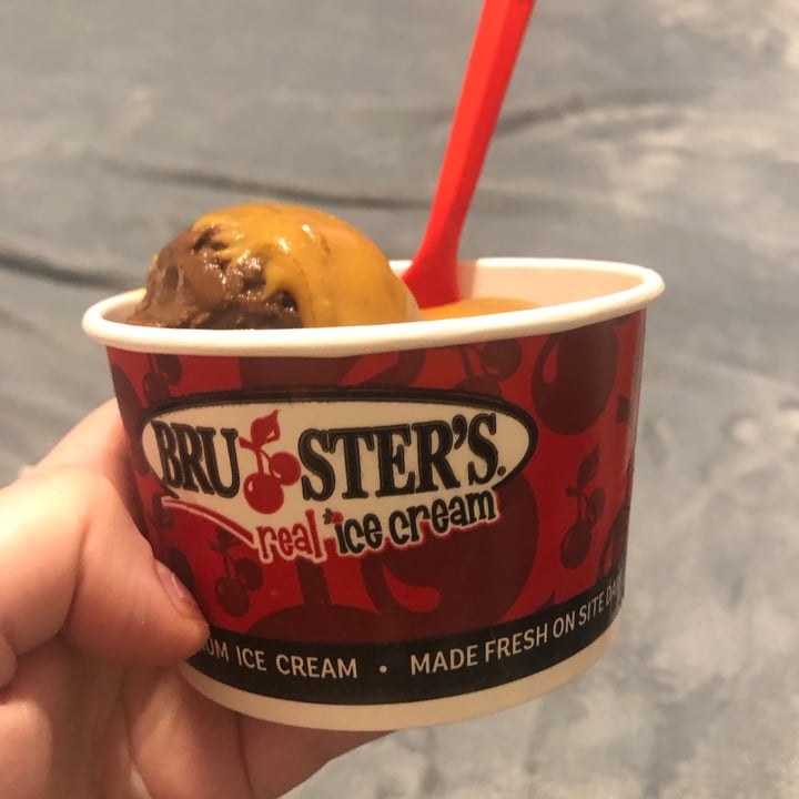 photo of Bruster's Real Ice Cream Chocolate Ice Cream shared by @veganchailatte on  01 Sep 2023 - review