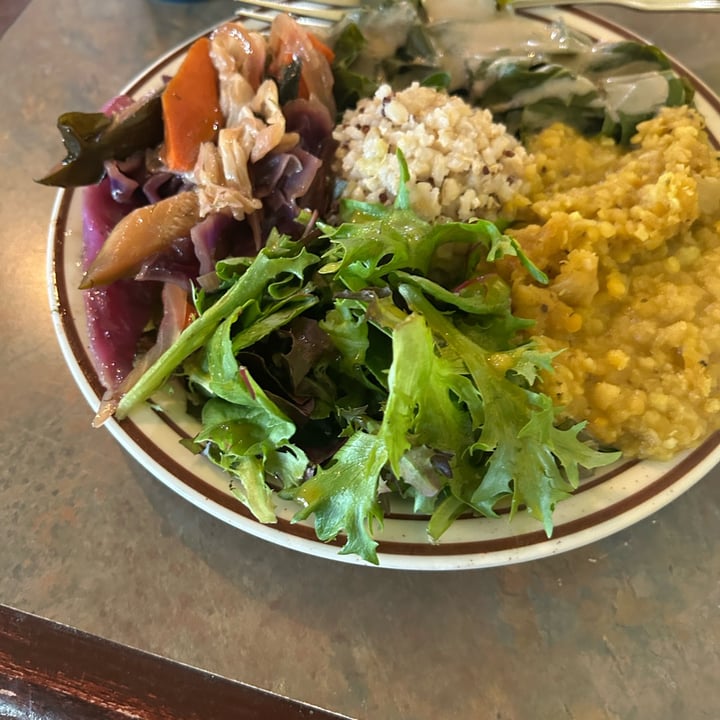 photo of Shangri-La Vegan Moderate Meal of the Day shared by @schandra on  10 Oct 2025 - review