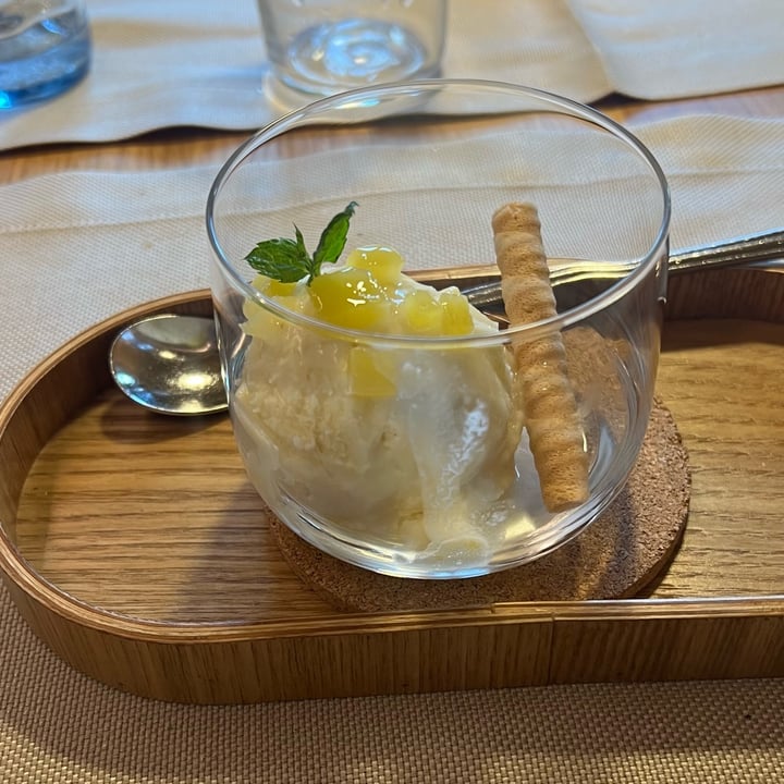 photo of Restaurant Brandner Hof Pineapple And coconut Sorbet shared by @dinolau97 on  10 Aug 2024 - review