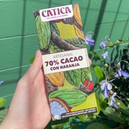 Catica
