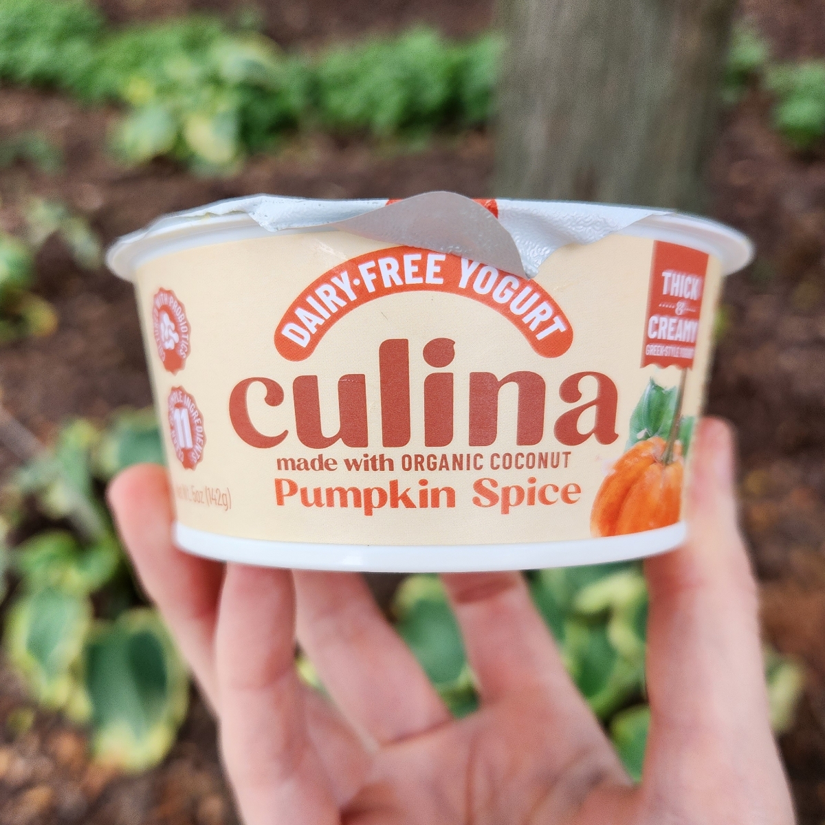 Culina Yogurt Pumpkin Spice Reviews abillion