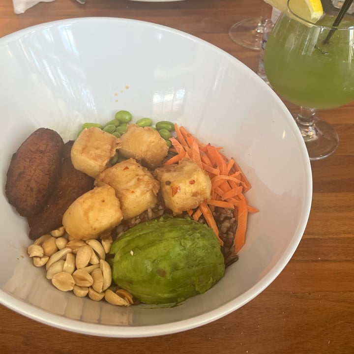 photo of Barking Mad Cafe Super Bowl shared by @kekamattos on  28 Feb 2025 - review