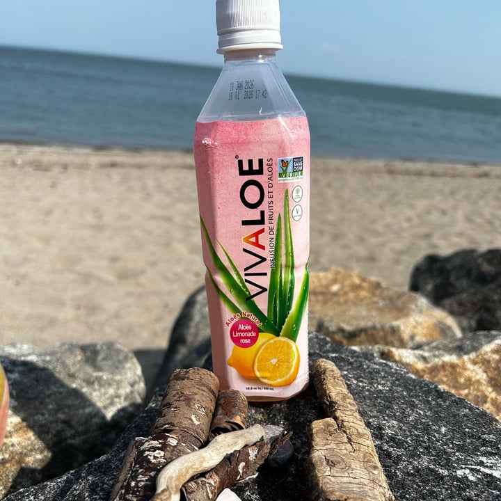photo of Vivaloe Pink Lemonade Aloe shared by @maryanarch on  12 Aug 2025 - review