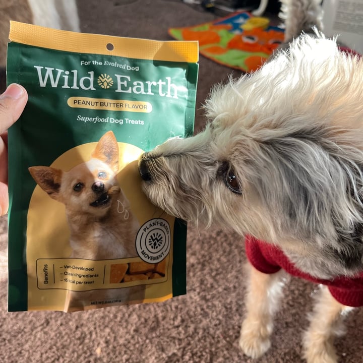 photo of Wild Earth Superfood Dog Treats (Peanut Butter Flavor) shared by @skeeter on  08 Dec 2023 - review