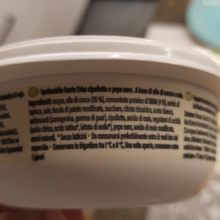 photo of Vegan Island Queso untable de cebollino shared by @ggreg on  01 Feb 2024 - review