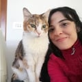 @ritadjali profile image