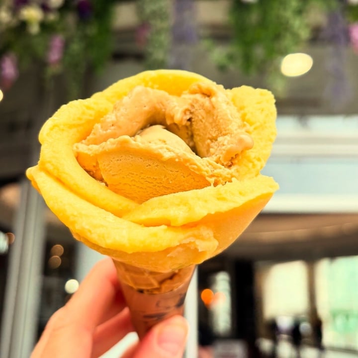 photo of Amorino Gelato - London Wimbledon pistachio & passionfruit sorbet (with GF cone) shared by @vegansuttonmama on  09 Aug 2025 - review
