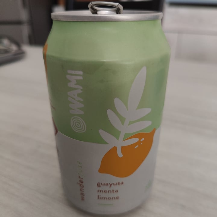 photo of WAMI Wander fuse (guayusa, menta, limone) shared by @felv on  13 Aug 2024 - review