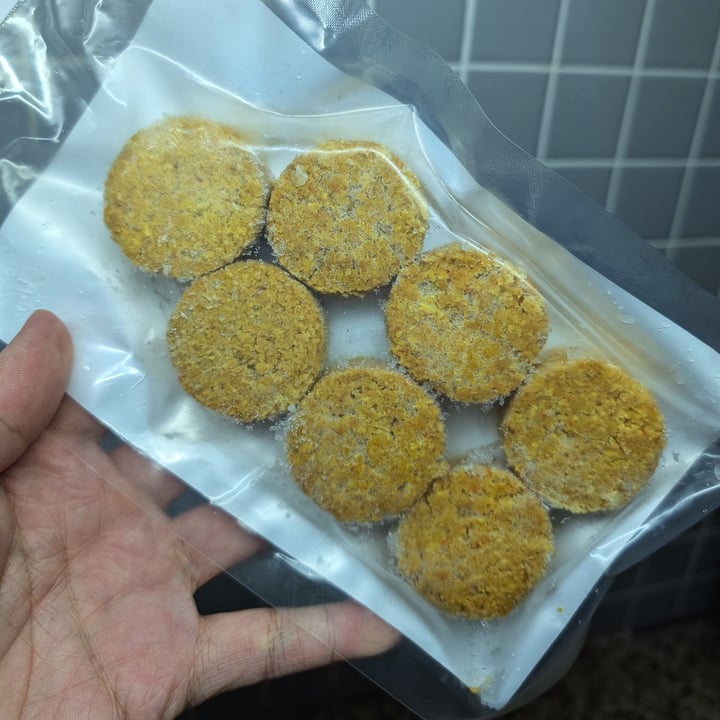 photo of Dodo Vegan Hut Turmeric and Lime Falafels shared by @stevenneoh on  24 Jul 2024 - review