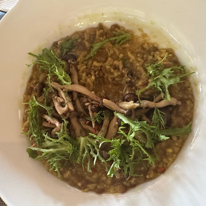 photo of Suma Restaurant Kitchari shared by @lavanyak on  10 Jul 2025 - review