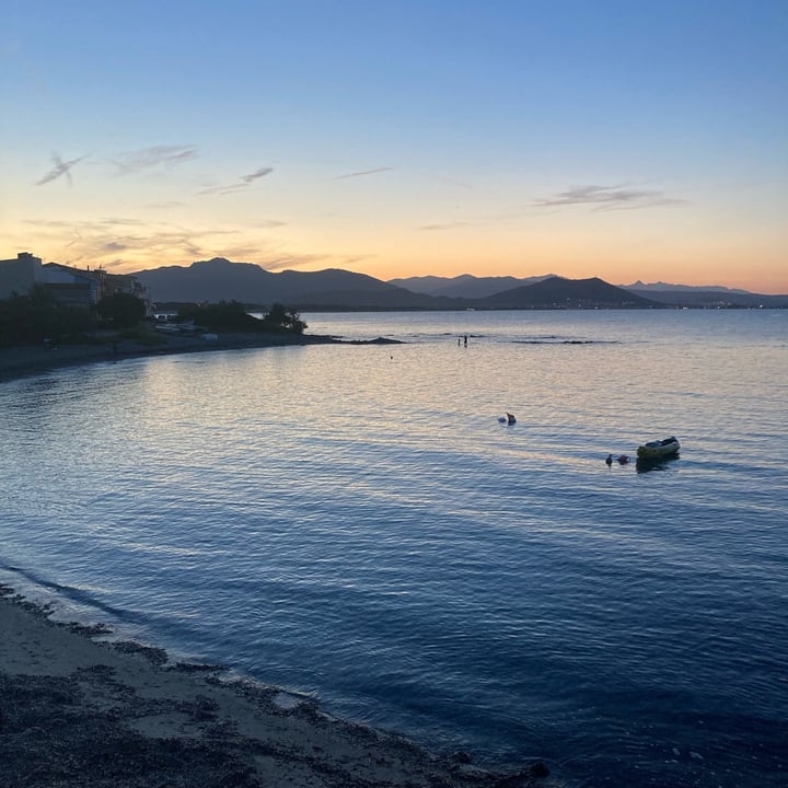photo of La Spiaggia delle Barche Seitan Con Patate shared by @soleiljaune on  27 Oct 2024 - review