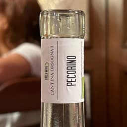 Cantina orsogna
