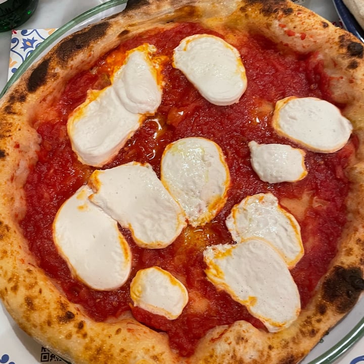 photo of Pizzium - Bologna Pizza margherita Vegana (Mozzarella Dream Farm) shared by @vale95 on  19 Nov 2023 - review