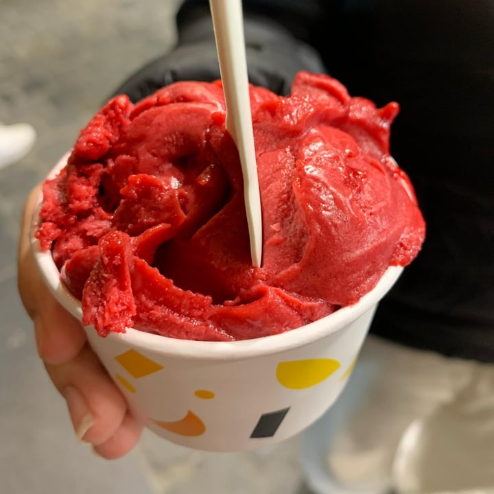 photo of Australian Home Made Ice Cream Brussels - Grand Place Sorbet shared by @miriam27 on  05 May 2025 - review