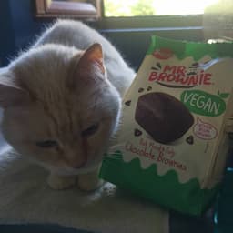 Mr. Brownie