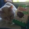 Mr. Brownie