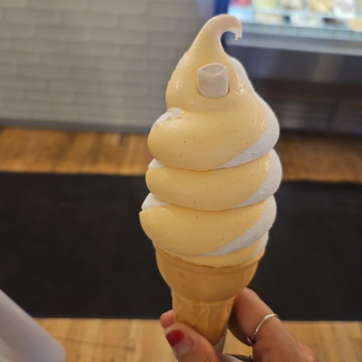 photo of ICONOGLACE vegan vanilla and pumpkin spice shared by @andreaalexandra on  05 Oct 2025 - review