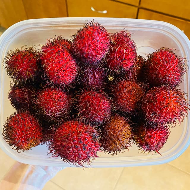 Rambutans at Cardenas - Review by @beckyyy | abillion