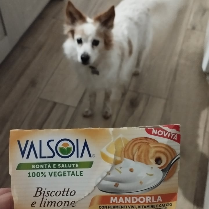 photo of Valsoia yogurt biscotto e limone shared by @lauraemissa on  28 Jan 2024 - review