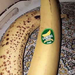 Samira Banana Premium