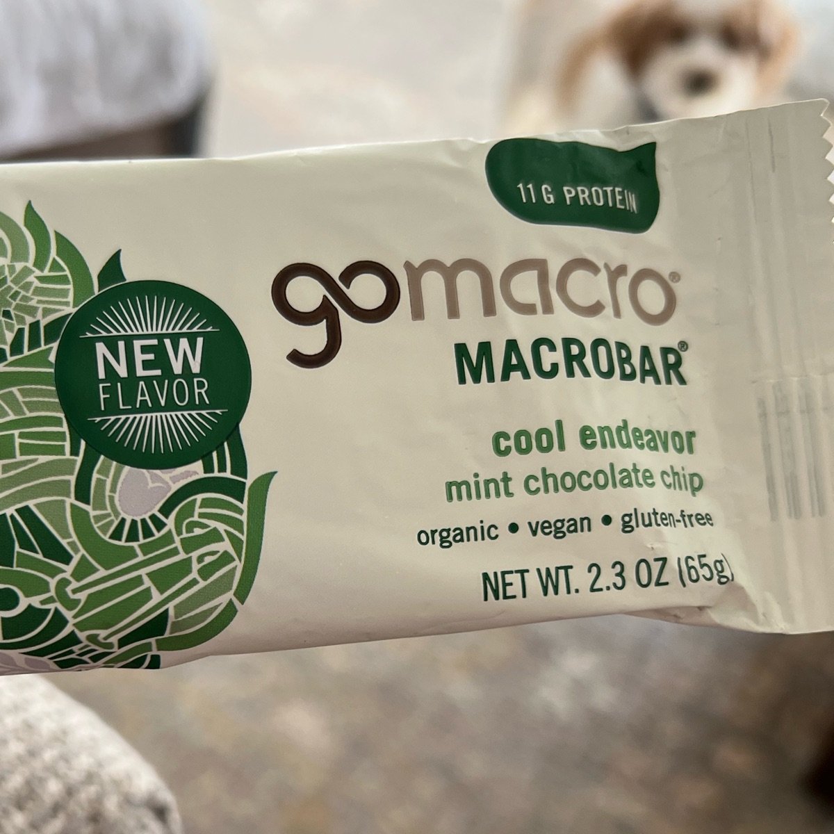 cool endeavor mint chocolate chip from GoMacro - Vegan Product Reviews ...