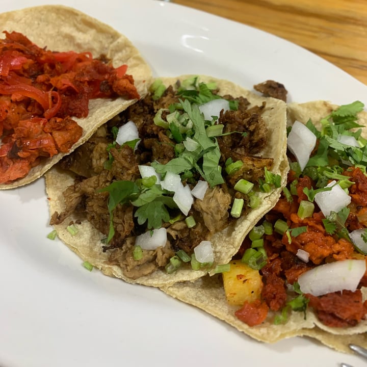 photo of Vege Taco Taco Pibil shared by @nancy on  18 Feb 2024 - review