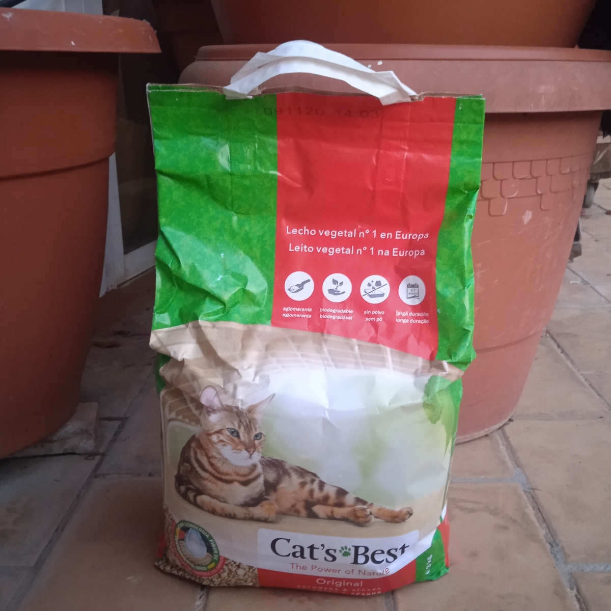 Cat's best Arena para gato. Review
