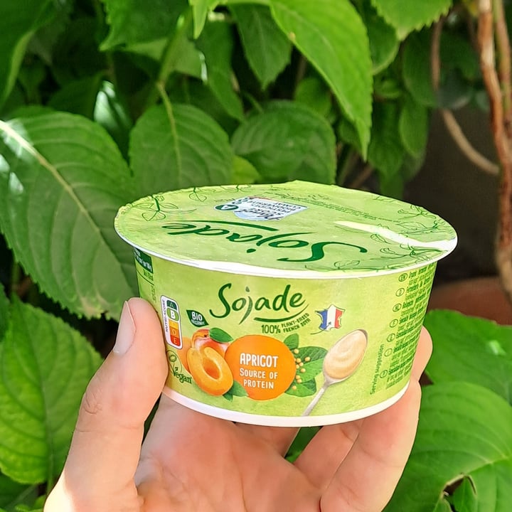 photo of Sojade So Soja! Aprikose / Apricot Soya Yogurt shared by @sten11 on  05 Jul 2024 - review