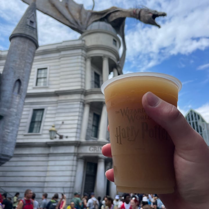 photo of The Wizarding World of Harry Potter - Diagon Alley Frozen Butterbeer shared by @tofutrey on  25 Jul 2025 - review