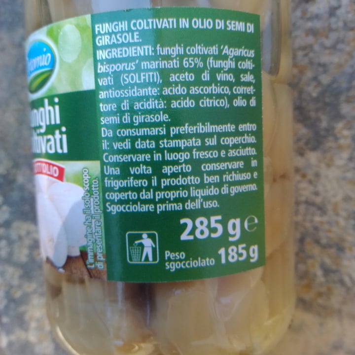 photo of Orto mio Funghi Coltivati shared by @robertaboschi on  14 May 2024 - review