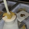 Laboratorio del gelato
