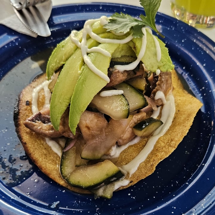 photo of LA PLANTISQUERÍA Tostada de Aguachile shared by @darkxocolatl on  10 Nov 2024 - review