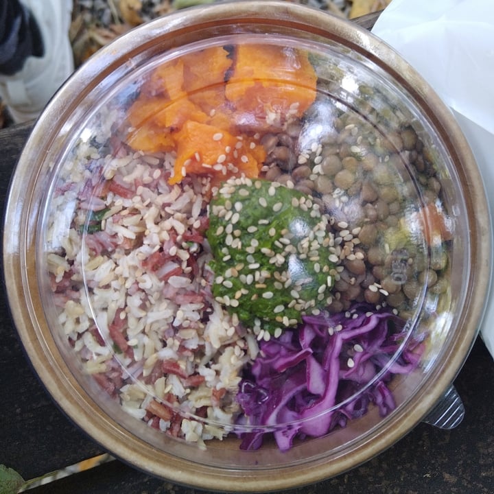 photo of Malerba buddha bowl shared by @vick16 on  06 Nov 2023 - review
