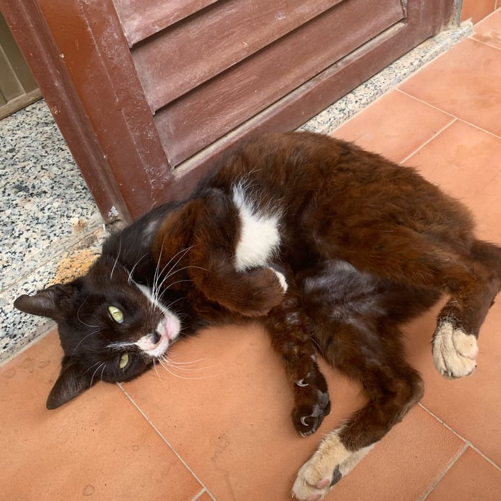photo shared by @unejanie on  16 Jun 2024 - post